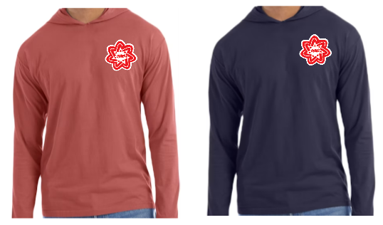 Heathered Stars Logo Soft Style Hooded TShirt